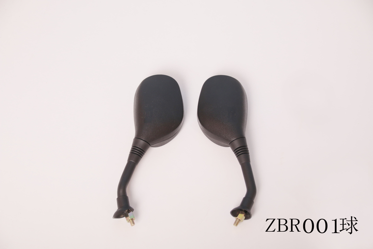 ZBR001